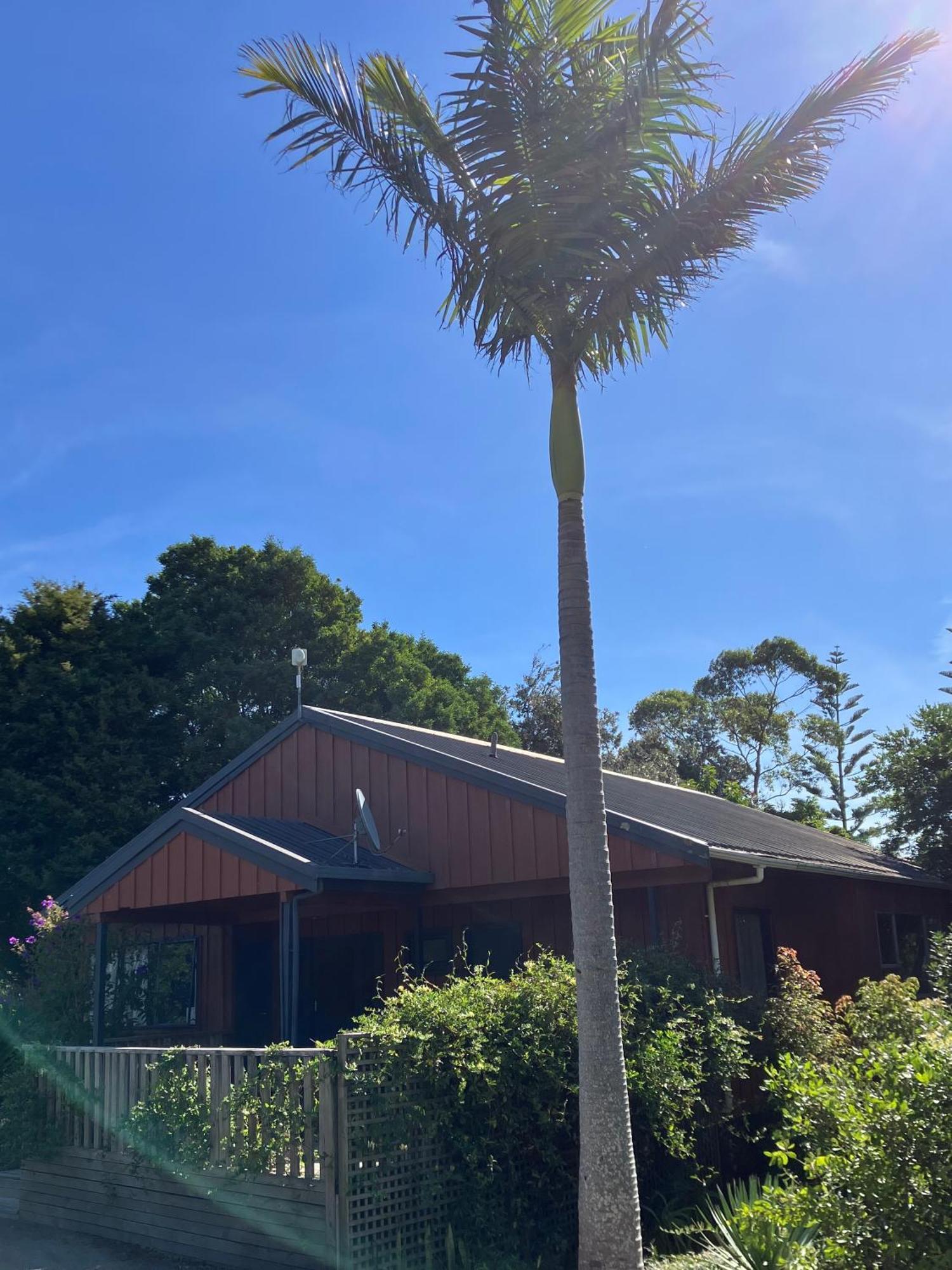 Ahipara Holiday Park Zewnętrze zdjęcie